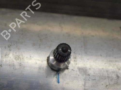 Other TESLA MODEL S (5YJS) 75D AWD | BP20233107O1