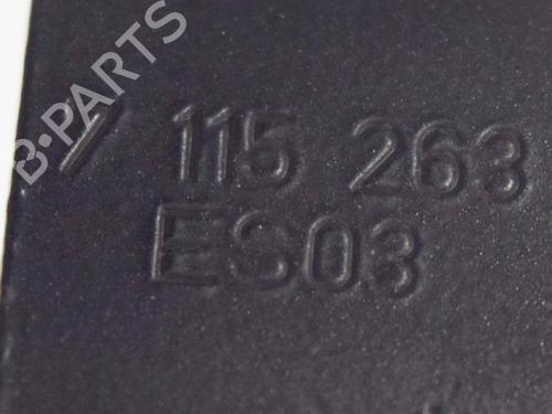 Hinge/Door check strap BMW 3 (E90) 330 d | BP14613415C146 