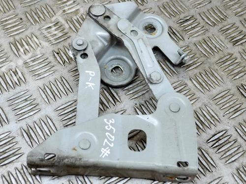 Hinge/Door check strap LAND ROVER RANGE ROVER III (L322) 4.4 4x4 | BP14637054C146