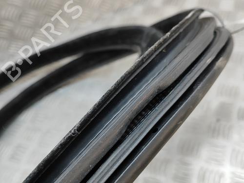 Rubber door seal LAND ROVER RANGE ROVER EVOQUE (L538) 2.0 D 4x4 | BP24975779C142 
