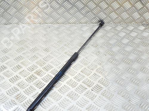 Hood lift support VW TOUAREG (7P5, 7P6) 3.0 V6 TDI | BP14621244C139 