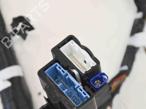 Ledningsnet TESLA MODEL 3 (5YJ3) EV | BP27748066E16 