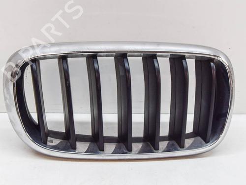 Grill BMW X5 (F15, F85) xDrive 30 d (258 hp) 14621071
