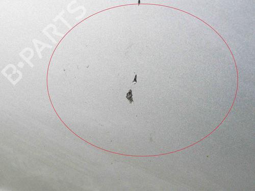 Left front door AUDI A6 C6 (4F2) 3.0 TDI quattro | BP30130448C2 