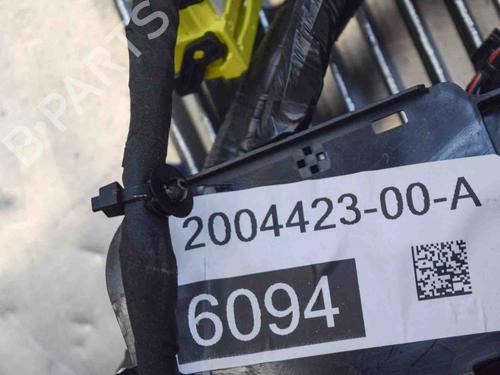 Wiring harness TESLA MODEL S (5YJS) 75D AWD | BP20233363E16