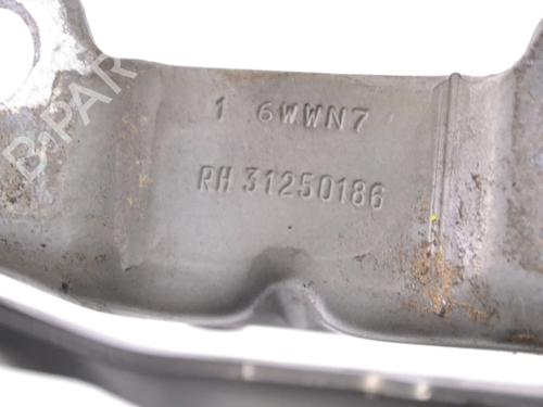 Hinge/Door check strap VOLVO S80 II (124) 2.4 D | BP30213621C146