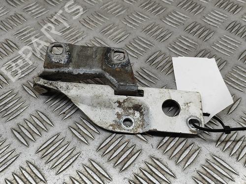 Hinge/Door check strap NISSAN NAVARA NP300 (D40) 2.5 dCi 4WD (D40TT, D40T, D40M, D40BB) | BP21809478C146