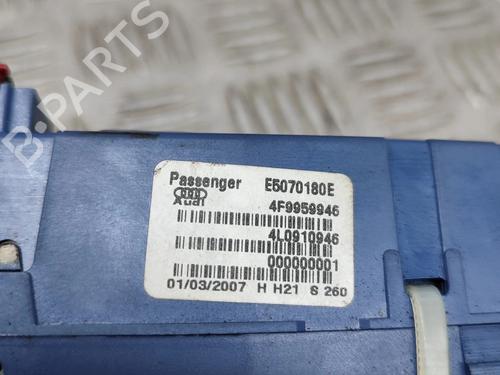 Hinge/Door check strap AUDI Q7 (4LB) 4.2 FSI quattro | BP25217301C146 