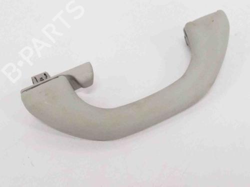 Interior roof handle SKODA RAPID (NH3, NK3, NK6) 1.6 TDI | BP14664116I35 