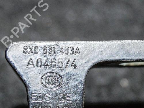 Hinge/Door check strap AUDI A3 (8V1, 8VK) 1.6 TDI | BP14657472C146 
