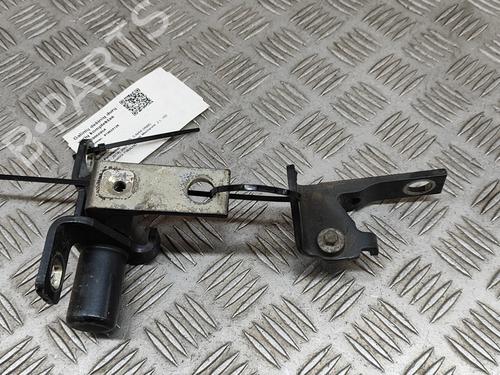 Hinge/Door check strap FORD S-MAX (WA6) 2.0 TDCi | BP24581946C146 