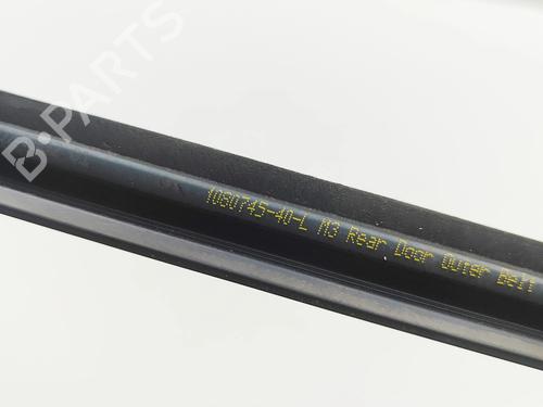 Dørliste TESLA MODEL 3 (5YJ3) EV | BP37445360C150 - Image 6
