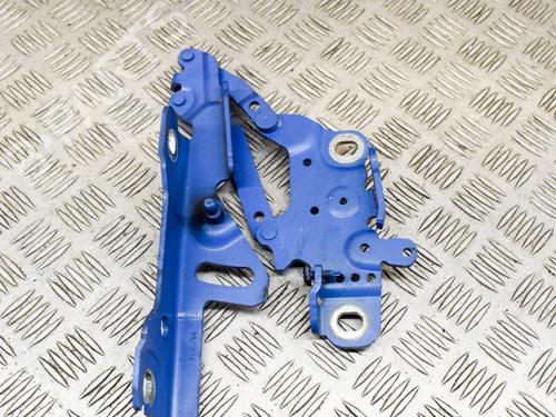 Hinge/Door check strap BMW 3 Touring (F31) 335 d xDrive | BP14631333C146 