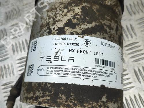 Left front shock absorber TESLA MODEL X (5YJX) P100D AWD | BP33661408M16  - Image 6