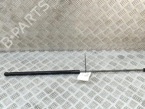 Used Hood lift support VW GOLF VII (5G1, BQ1, BE1, BE2) e-Golf (115 hp) 19126554