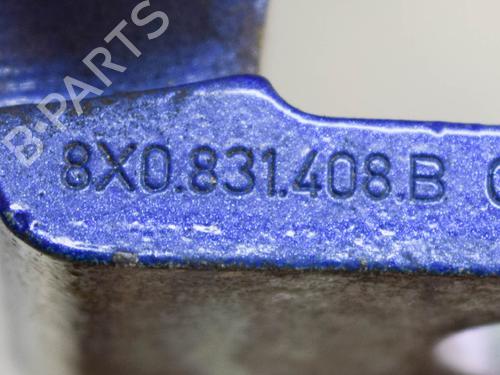 Hinge/Door check strap AUDI A1 (8X1, 8XK) S1 quattro | BP14616491C146