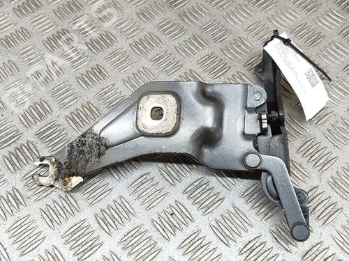 Used Hinge/Door check strap BMW X5 (E70) xDrive 40 d (306 hp) 19280931