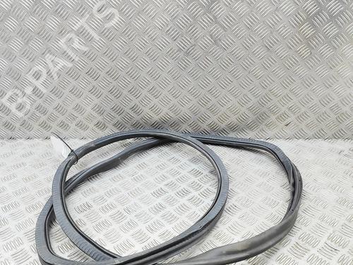 Gummiliste BMW 5 Touring (G31) 530 d xDrive | BP37269367C142 - Image 5