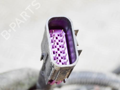 Wiring harness JEEP CHEROKEE (KL) 2.0 CRD 4x4 | BP14649628E16 