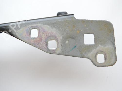 Hinge/Door check strap RENAULT SCÉNIC III (JZ0/1_) 1.6 dCi (JZ00, JZ12) | BP30232753C146 