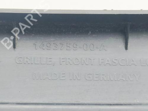 Grill TESLA MODEL Y (5YJY) Long Range All-wheel Drive | BP38201710C40 - Image 7