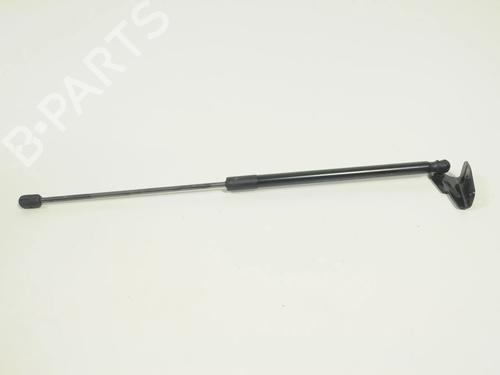 tailgate-lift-support-ford-focus-iii-2010-2011-2012-2013-2014-2015-2016-2017-2018-2019-2020-30894621 main image