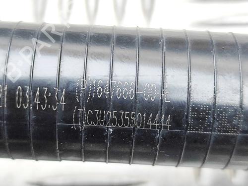 Pipe TESLA MODEL 3 (5YJ3) EV | BP38162477M125 - Image 7