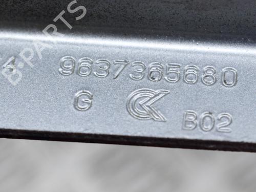 Hinge/Door check strap CITROËN C3 Pluriel (HB_) 1.6 | BP14635447C146 