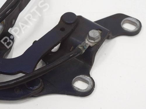 Hinge/Door check strap BMW 3 (E90) 330 d | BP14613415C146 