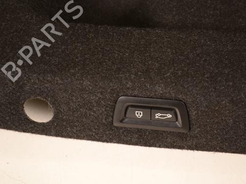 Boot lining BMW 5 (G30, F90) M 550 i xDrive | BP30211317I3