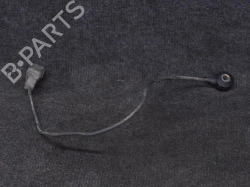 Elektronische sonde AUDI A6 C6 (4F2) 2.4 (177 hp) 14646811