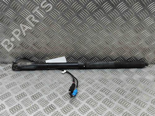 Used Tailgate lift support PORSCHE PANAMERA (970) 3.0 S E-Hybrid (333 hp) 29373525