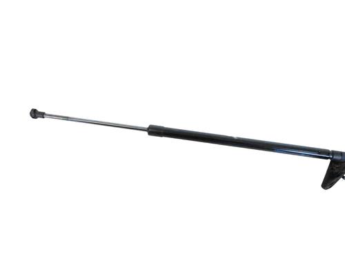 Used Tailgate lift support NISSAN JUKE (F16_) DIG-T 117 (117 hp) 30239336