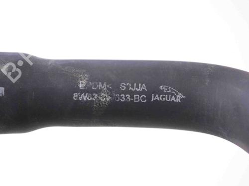 Pipe JAGUAR XK II Coupe (X150) 5.0 V8 | BP30213115M125 