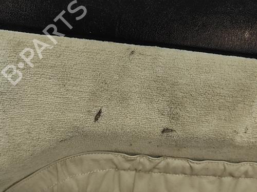 Front right panel MERCEDES-BENZ S-CLASS Coupe (C140) SEC/CL 600 (140.076) | BP32025464C59