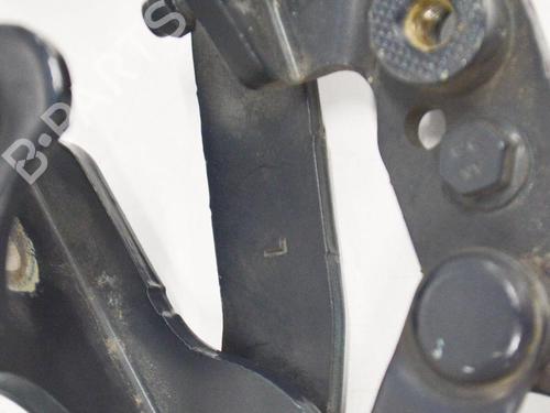 Hinge/Door check strap BMW 5 Touring (F11) 525 d | BP14607598C146