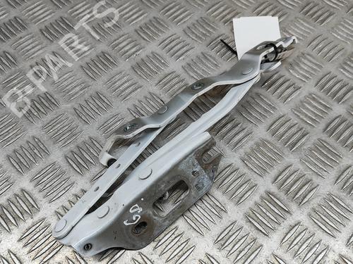 Used Hinge/Door check strap AUDI A5 Convertible (8F7) 2.0 TDI (143 hp) 15775308