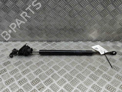 Hinge/Door check strap PORSCHE PANAMERA (970) 3.0 S E-Hybrid | BP29373496C146 