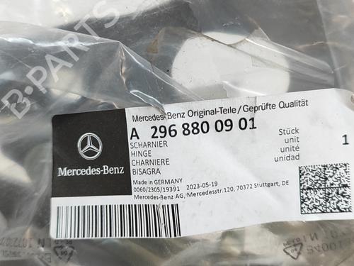 Hinge/Door check strap MERCEDES-BENZ B-CLASS Sports Tourer (W245) B 180 CDI (245.207) | BP28688388C146 