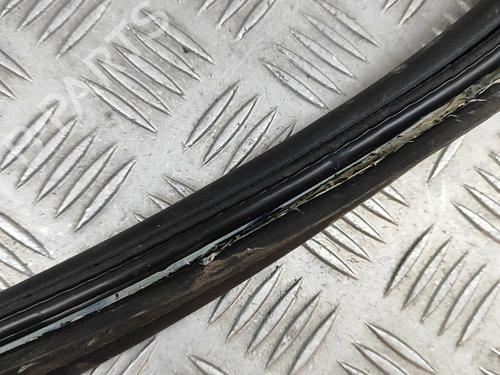 Rubber door seal TESLA MODEL X (5YJX) P100D AWD | BP25217857C142 