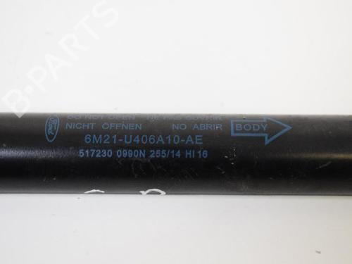 Tailgate lift support FORD GALAXY II (WA6) 2.0 TDCi | BP30256277C138 