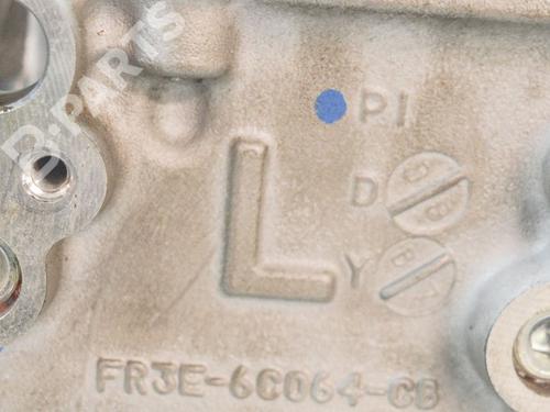 Cylinder head FORD USA MUSTANG Convertible 5.0 V8 | BP8838983M5