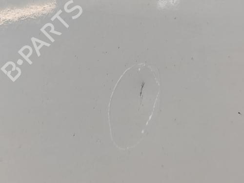 Left front fenders RENAULT MASTER III Van (FV) 2.3 dCi 145 FWD (FV0E, FV0F, FV0H, FV02, FV0M, FV0S,... | BP31686792C41