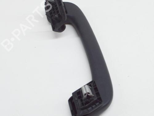 Interior roof handle BMW X3 (F25) xDrive 30 d | BP14619145I35 