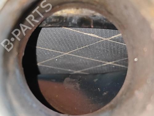 Catalyst FIAT TALENTO Van (296_) 1.6 D | BP33389008M10 - Image 6