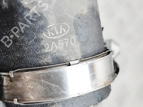 Pipe KIA CEE'D (JD) 1.6 CRDi 136 | BP31047450M125 