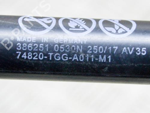 Tailgate lift support HONDA CIVIC X Hatchback (FC_, FK_) 1.0 VTEC (FK6) | BP14650170C138 