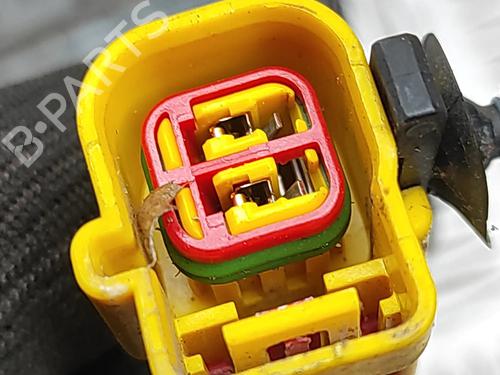 Elektronisk modul JAGUAR XK II Coupe (X150) 5.0 XKR | BP30836944M83 