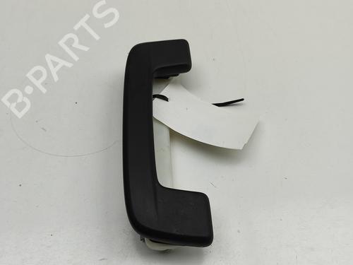 Interior roof handle SKODA ENYAQ iV SUV (5AZ) 85X | BP29731319I35 