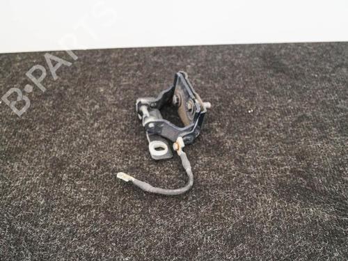 Hinge/Door check strap BMW 1 (F20) 120 d | BP14657828C146 